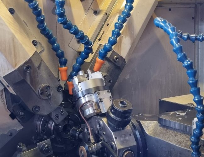 Immagine WhatsApp 2024-06-20 ore 20.21.44_3531d5f4